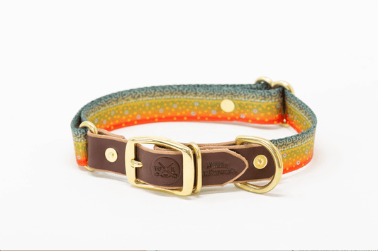Fish Dog Bundle - Whiskey Leatherworks
